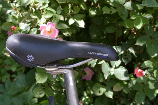 seat