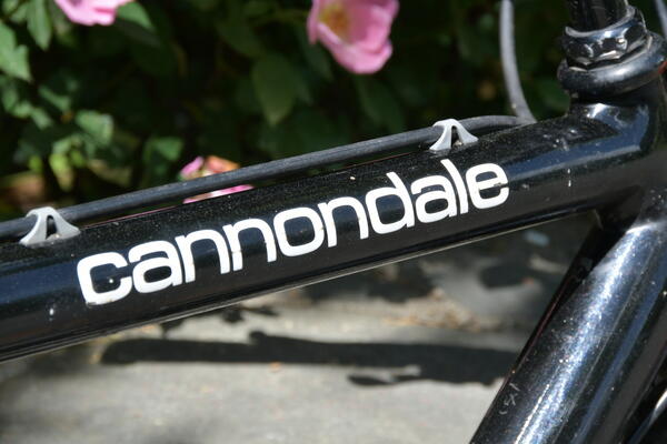 top tube logo